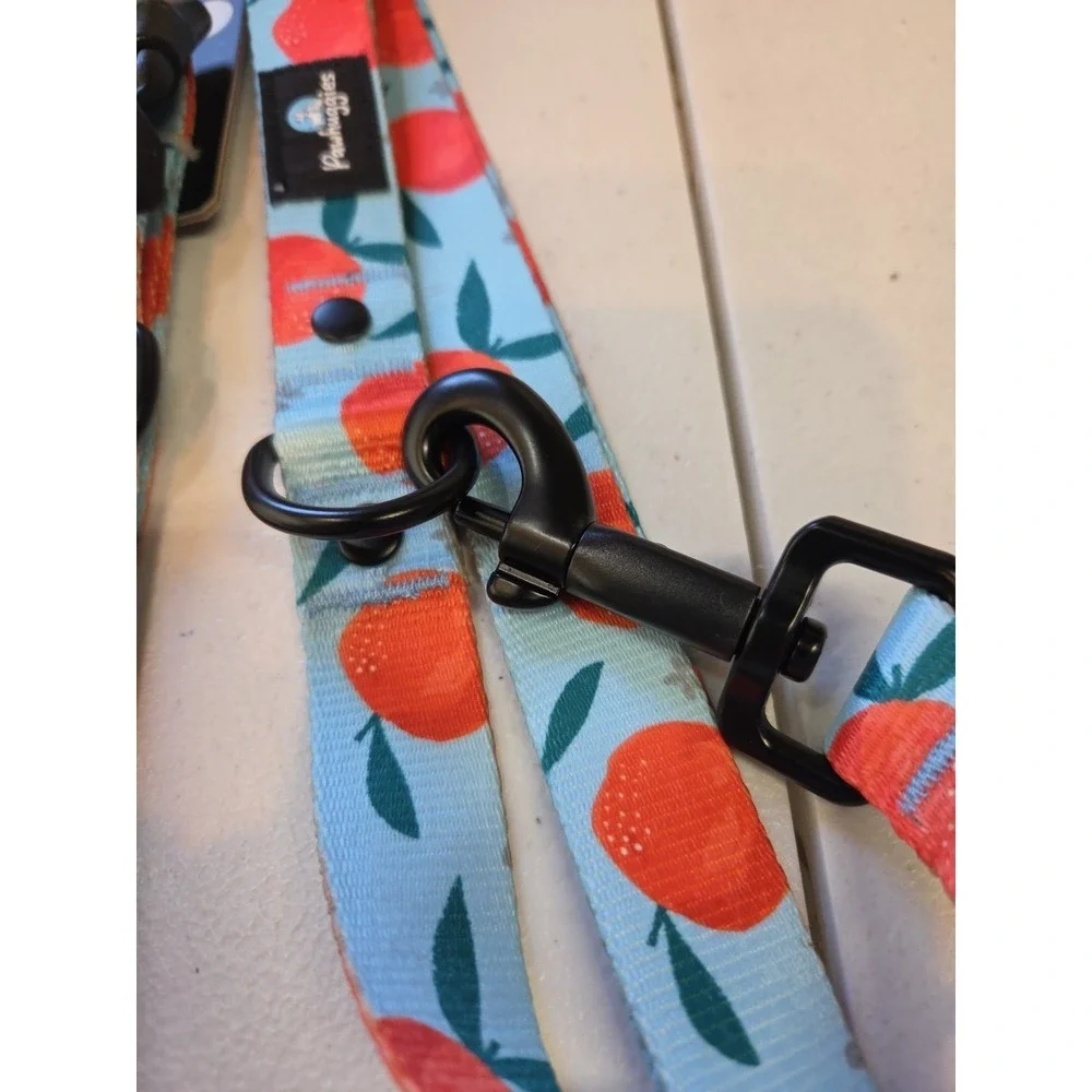 Paw Huggies Dog Collar & Leash Set Orange Fruit Print‎ Adjustable Blue NWT